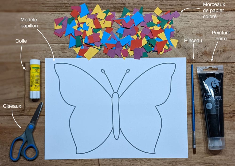 Activité-papillon-printemps-modèle